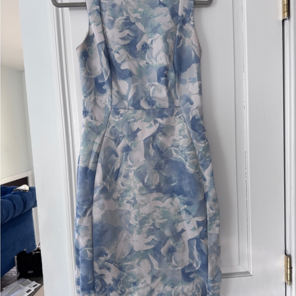 Floral Blue and White Dress